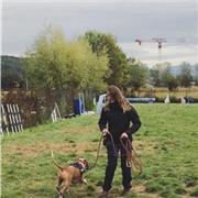 Professeur en éducation comportementale canine